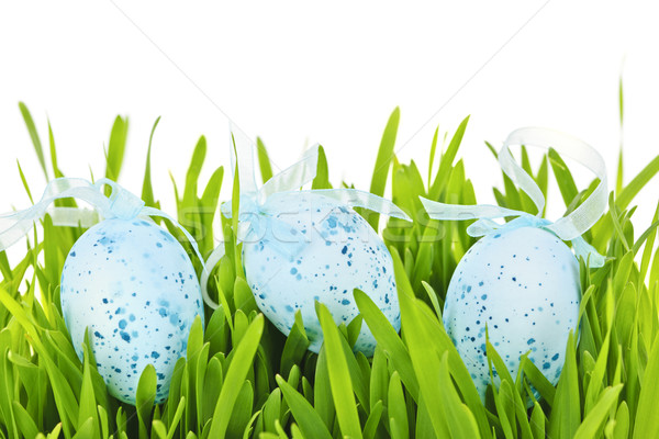 Easter eggs in green grass Stock photo © elenaphoto