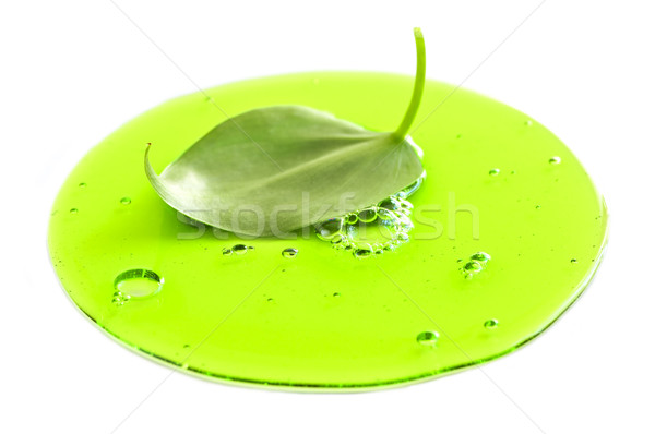 Fresh leaf in green liquid Stock photo © elenaphoto