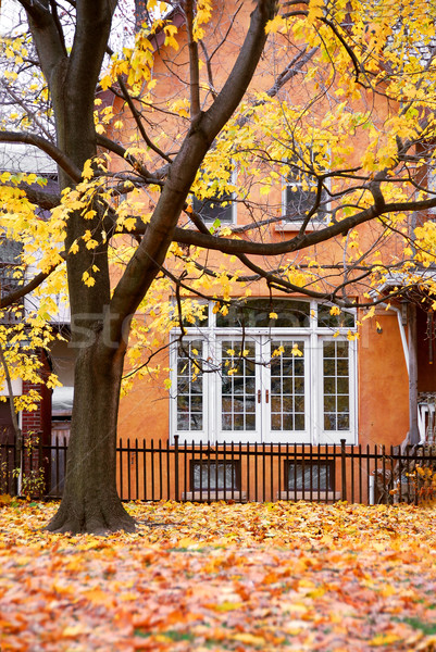 House autumn Stock photo © elenaphoto