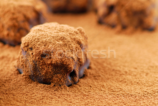 Chocolate truffles Stock photo © elenaphoto