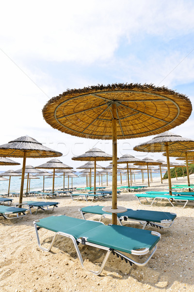 Beach umbrellas and chairs on sandy seashore Stock photo © elenaphoto
