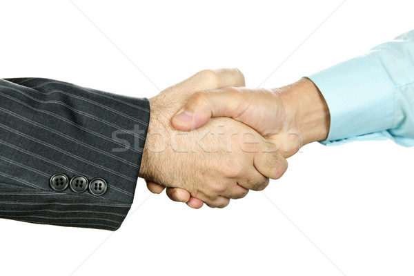 Business handshake Stock photo © elenaphoto