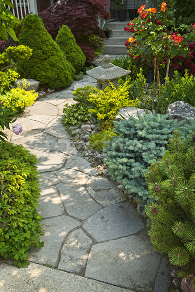 Garden path with stone landscaping Stock photo © elenaphoto