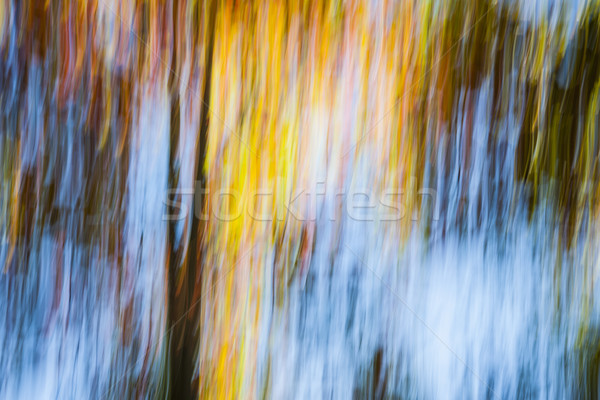 Jesienią streszczenie krajobraz jasne kolorowy lasu Zdjęcia stock © elenaphoto