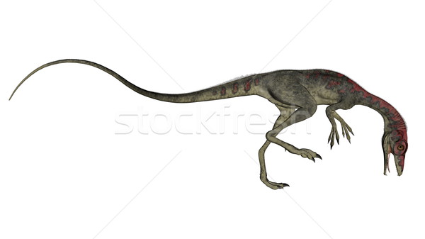 Compsognathus dinosaur walking - 3D render Stock photo © Elenarts