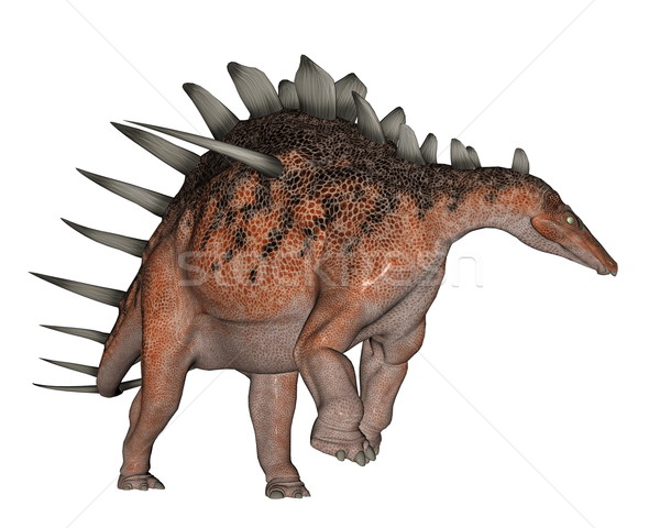 Kentrosaurus dinosaur walking - 3D render Stock photo © Elenarts