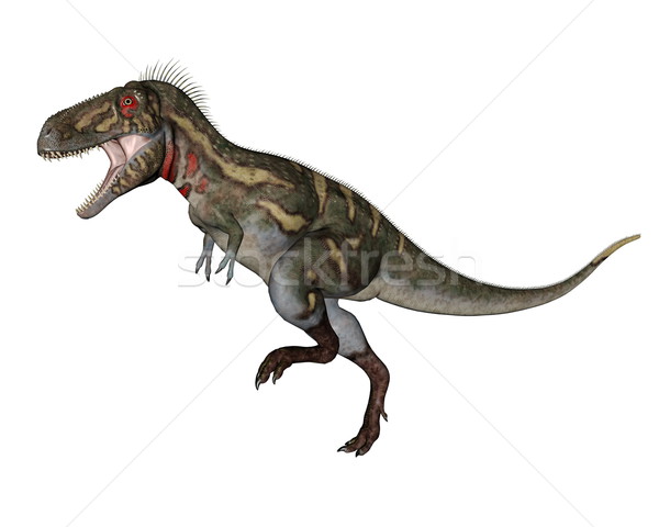 Nanotyrannus dinosaur walking - 3D render Stock photo © Elenarts