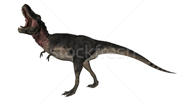 Tarbosaurus dinosaur - 3D render Stock photo © Elenarts