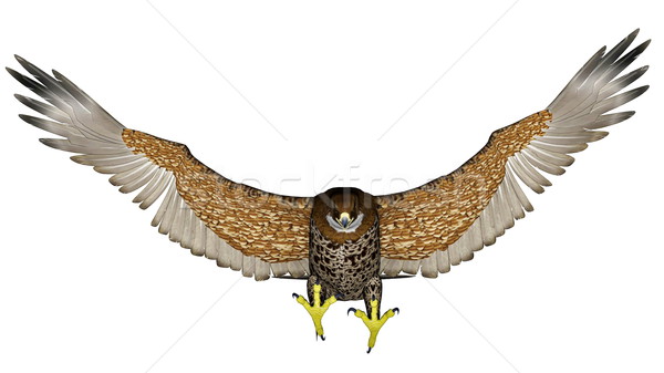 Sombre falcon battant rendu 3d isolé blanche Photo stock © Elenarts