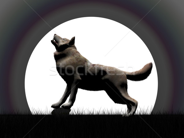 Wold howling at night - 3D render Stock photo © Elenarts