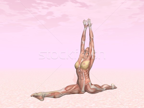 [[stock_photo]]: Singe · pose · de · yoga · femme · muscle · visible · rose