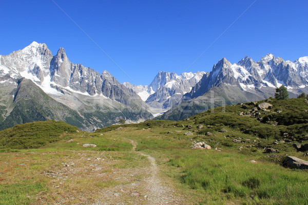 Mont-Blanc massif and small path Stock photo © Elenarts