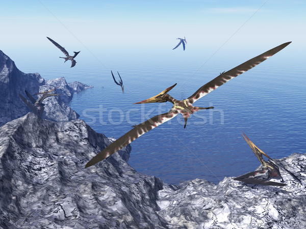 Pteranodon birds - 3D render Stock photo © Elenarts