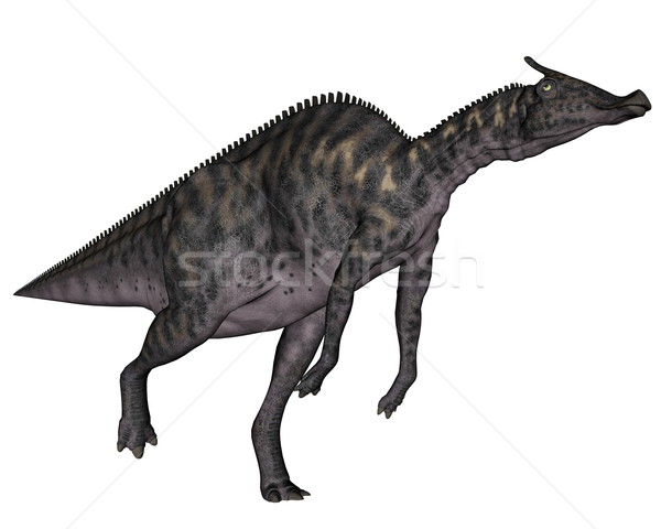 Сток-фото: динозавр · 3d · визуализации · работает · изолированный · белый · природы