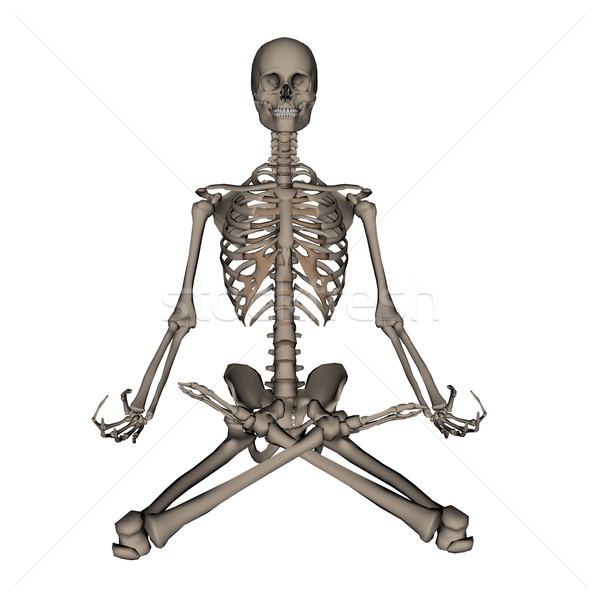 Uman schelet meditaţie 3d face izolat alb Imagine de stoc © Elenarts