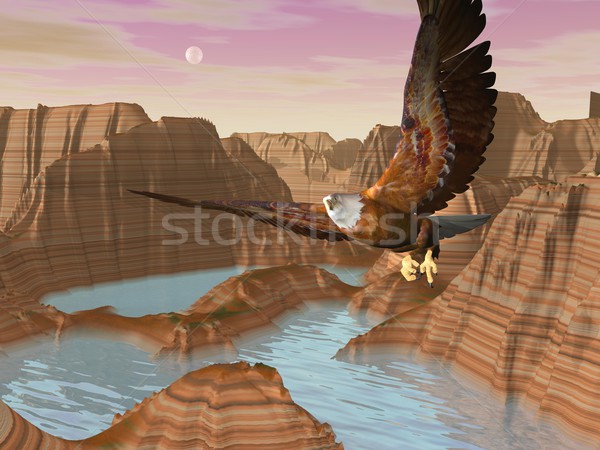 Stock photo: Eagle upon canyons - 3D render