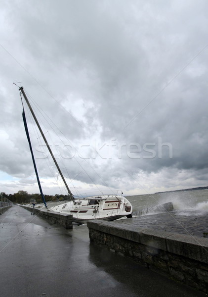 Storm on the lakeside, Geneva, Switzerland Stock photo © Elenarts