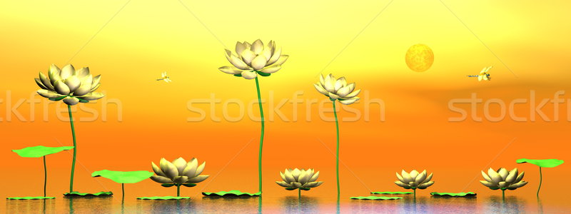 [[stock_photo]]: Zen · Lily · fleurs · rendu · 3d · rose · laisse