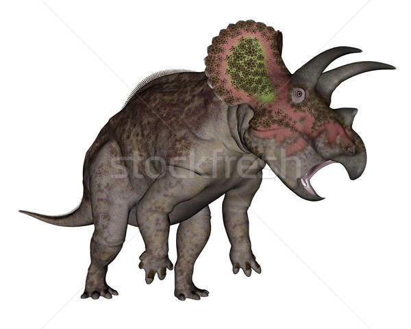 Triceratops dinosaur standing up - 3D render Stock photo © Elenarts