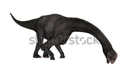 Brontomerus dinosaur - 3D render Stock photo © Elenarts