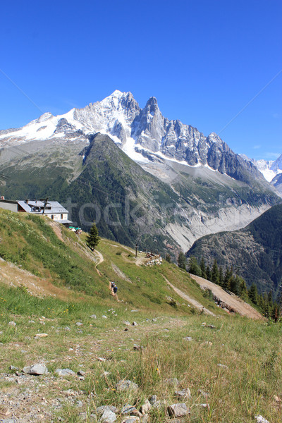 Mont-Blanc massif, Chamonix, France Stock photo © Elenarts
