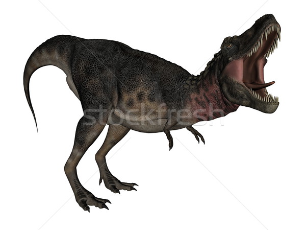 Tarbosaurus dinosaur - 3D render Stock photo © Elenarts