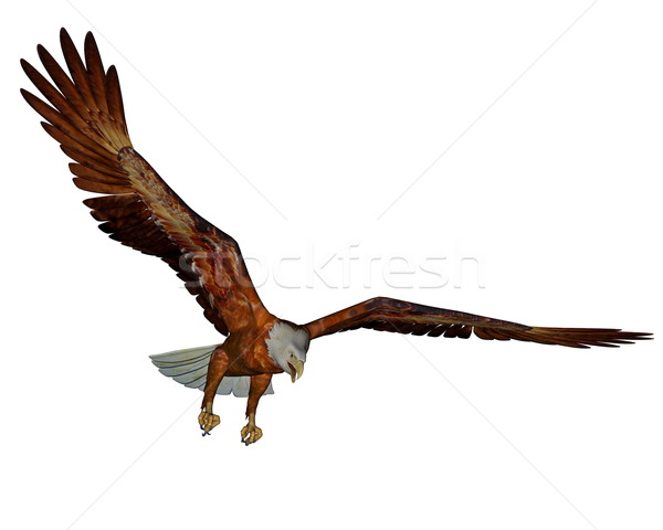 Stockfoto: Amerikaanse · kaal · adelaar · 3d · render · mooie · vliegen