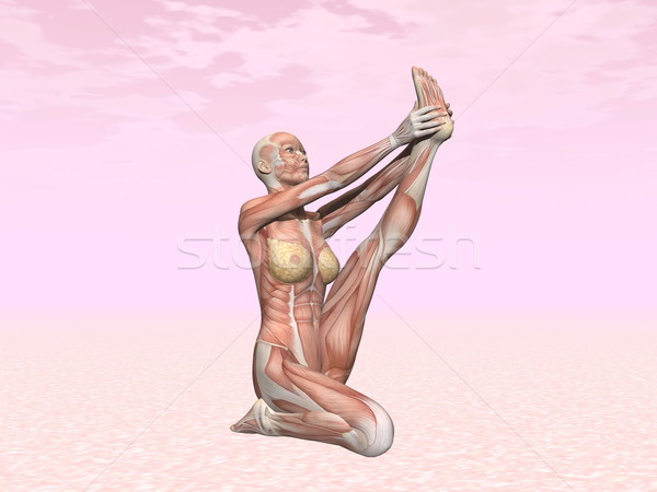 蒼鷺 瑜伽姿勢 女子 肌肉 可見 粉紅色 商業照片 © Elenarts