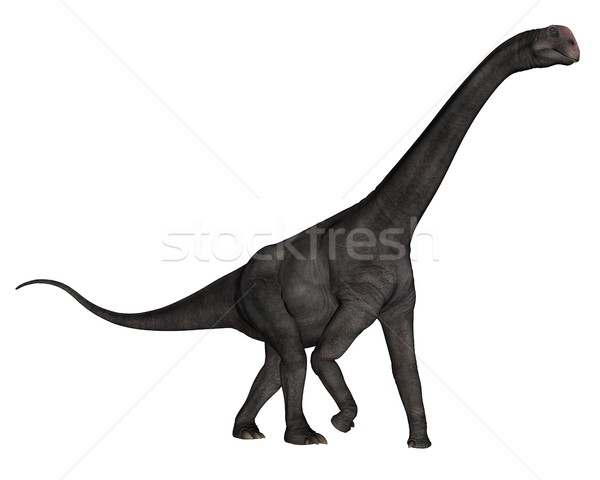 Brontomerus dinosaur - 3D render Stock photo © Elenarts