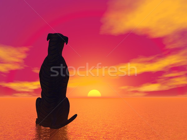 Méditation chien rendu 3d noir silhouette séance [[stock_photo]] © Elenarts