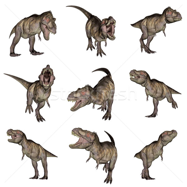 Tyrannosaurus rex dinosaurs - 3D render Stock photo © Elenarts