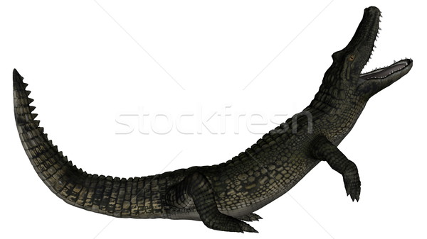 Caiman roaring - 3D render Stock photo © Elenarts