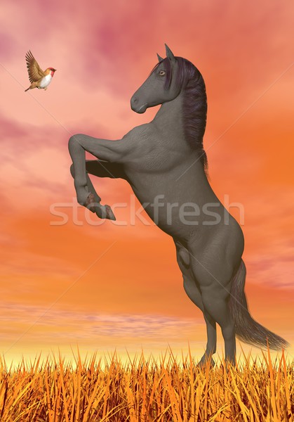 Horse and butterfly meeting - 3D render Stock photo © Elenarts