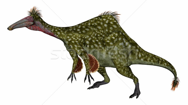 Deinocheirus dinosaur - 3D render Stock photo © Elenarts