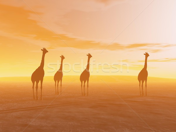 Girafes désert rendu 3d silhouette quatre permanent [[stock_photo]] © Elenarts