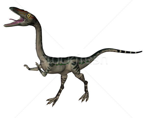 Coelophysis dinosaur - 3D render Stock photo © Elenarts