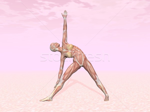 Triangle yoga pose for woman with muscle visible Stock photo © Elenarts