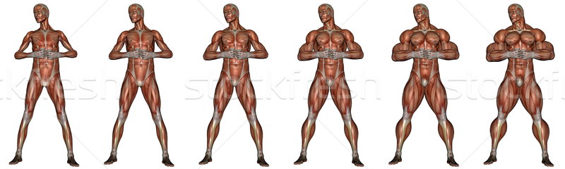 Becoming a muscular man - 3D render Stock photo © Elenarts