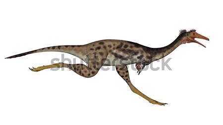 Mononykus dinosaur running - 3D render Stock photo © Elenarts