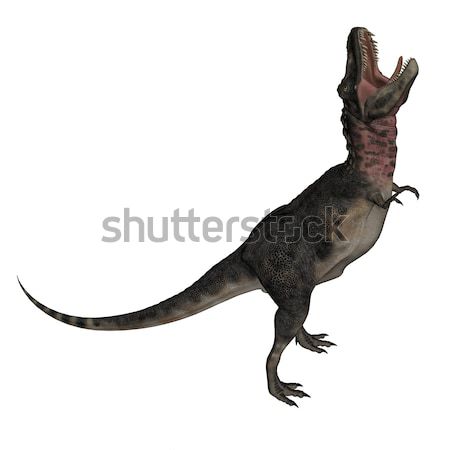 Tarbosaurus dinosaur - 3D render Stock photo © Elenarts