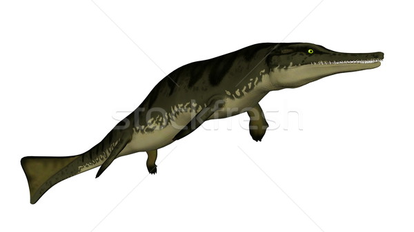 Metriorhynchus prehistoric fish - 3D render Stock photo © Elenarts