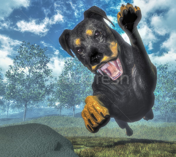 Câine 3d face natură funcţionare digital grafic Imagine de stoc © Elenarts