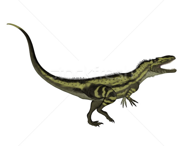 Torvosaurus dinosaurs roaring - 3D render Stock photo © Elenarts