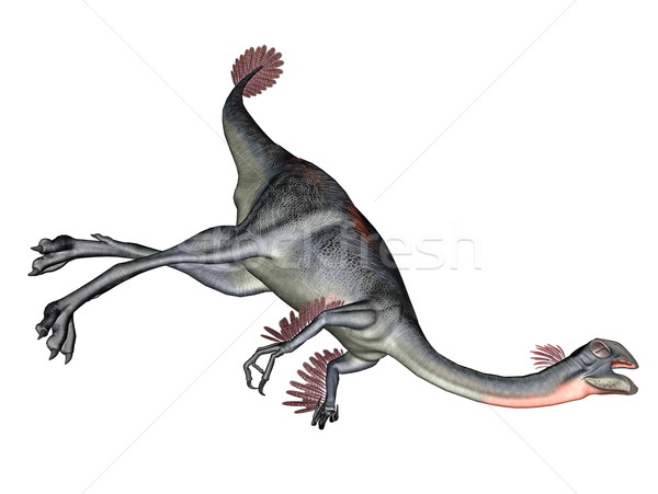 Gigantoraptor dinosaur Stock photo © Elenarts