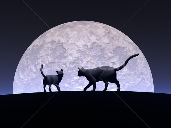 Romantic cats Stock photo © Elenarts