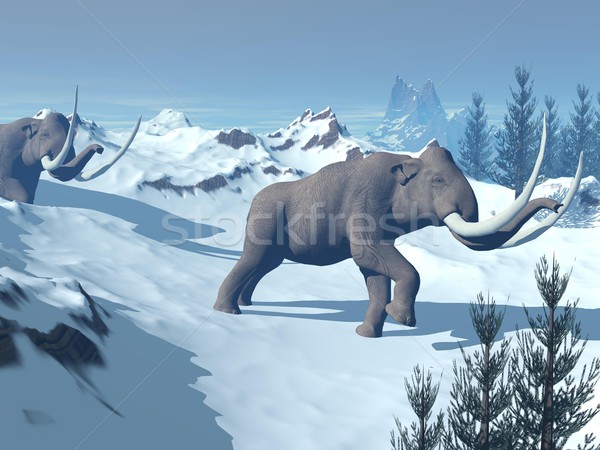 Mammoths walk Stock photo © Elenarts