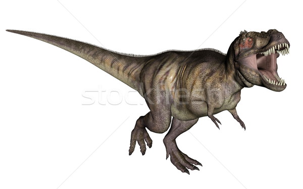 Tyrannosaurus dinosaur Stock photo © Elenarts