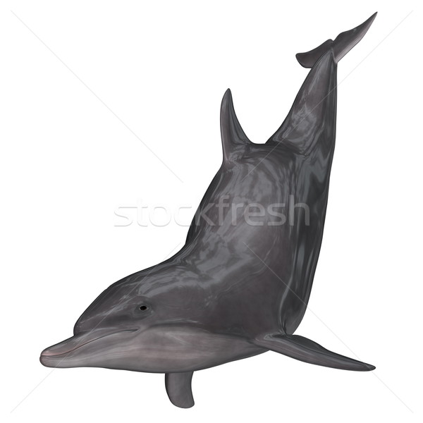 Delfin 3d render izolált fehér víz tenger Stock fotó © Elenarts