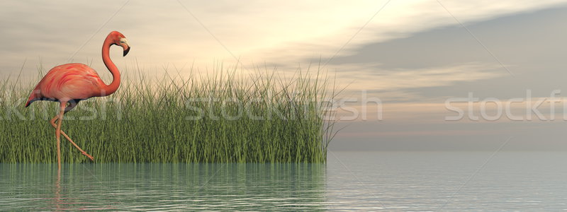 Stock photo: Pink flamingo in nature - 3D render