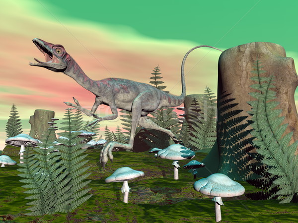 Compsognathus dinosaur - 3D render Stock photo © Elenarts